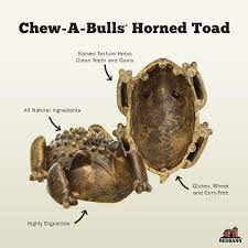 Red Barn Chew A Bulls Horned Toad  Dog Chew Products  | PetMax Canada