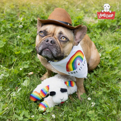 Lamb Chop With Birthday Hat Plush Dog Toy
