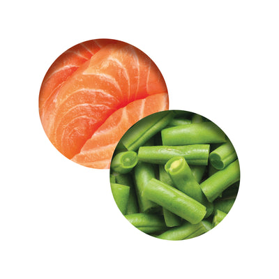 CatIt Wet Cat Food Fish Dinner With Salmon & Green Beans