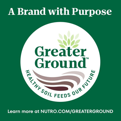 Nutro Wholesome Essentials Dog Food Adult Lamb & Rice