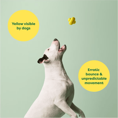 Earth Rated Rubber Fetch Chew Dog Toy - Small - Dog Toys - Earth Rated - PetMax Canada