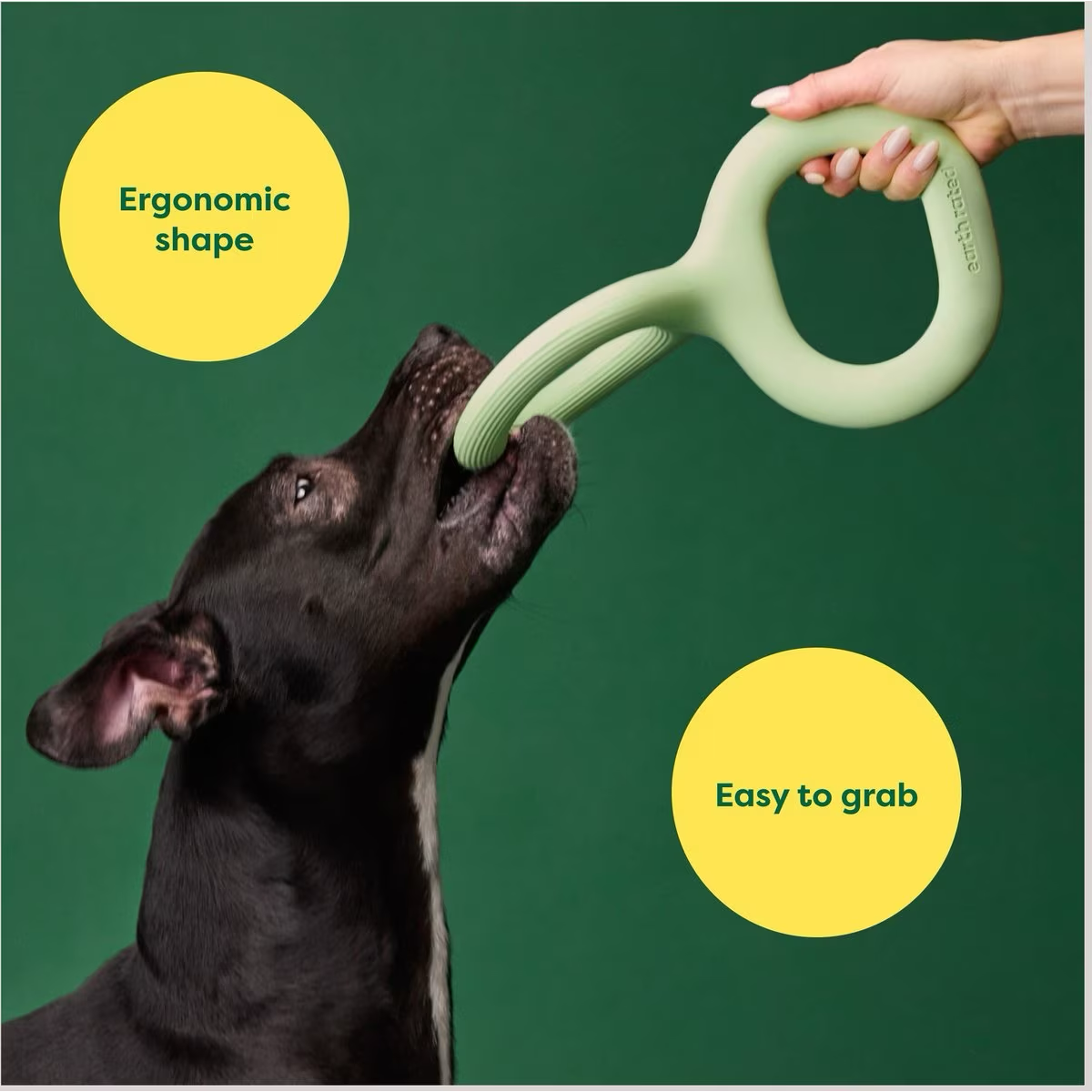 Earth Rated Green Rubber Tug Toy  Dog Toys  | PetMax Canada