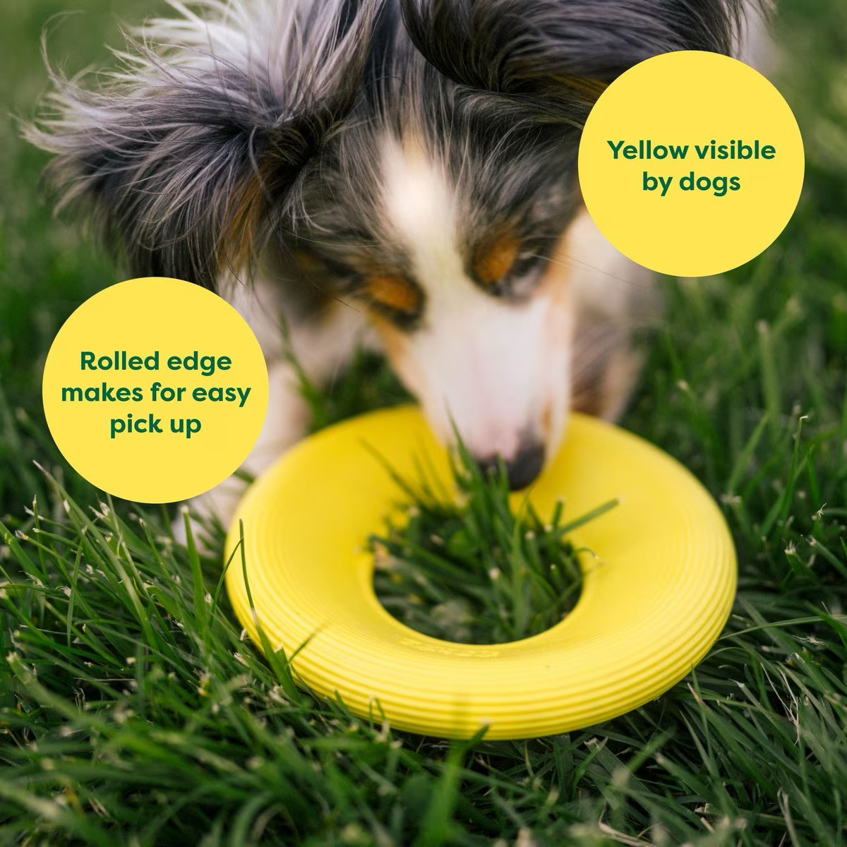 Earth Rated Fly Toy Yellow  Dog Toys  | PetMax Canada