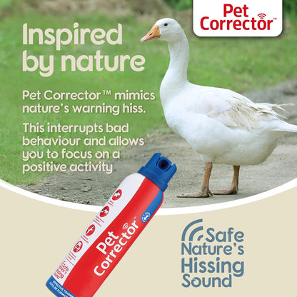 Pet Correcteur Air Comprimé
