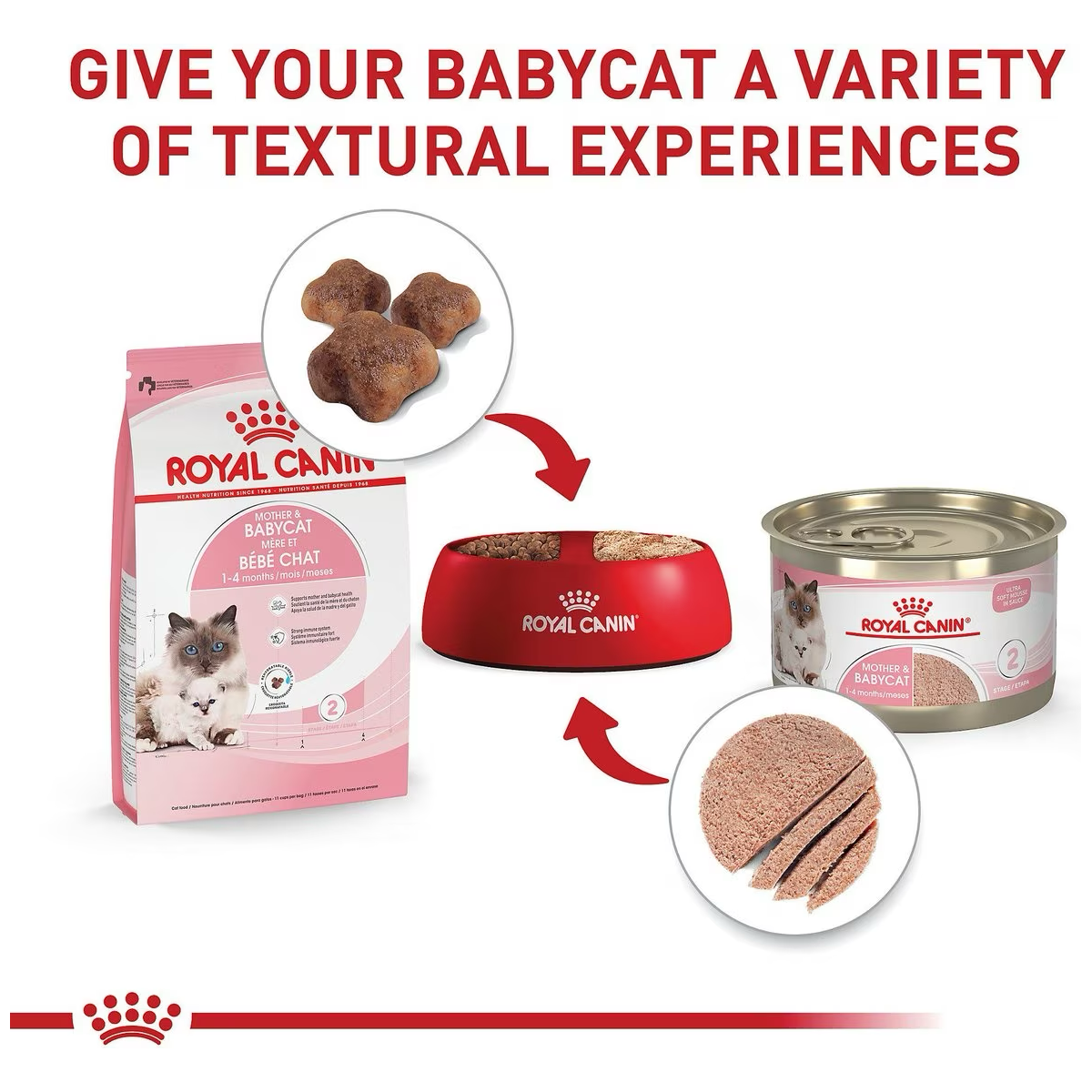 Royal Canin Feline Health Nutrition Mother & Babycat Dry Cat Food  Cat Food  | PetMax Canada