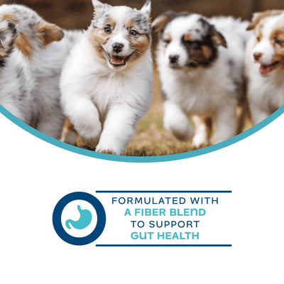 Fromm Nutritionals Digestive Dog Supplement Pate