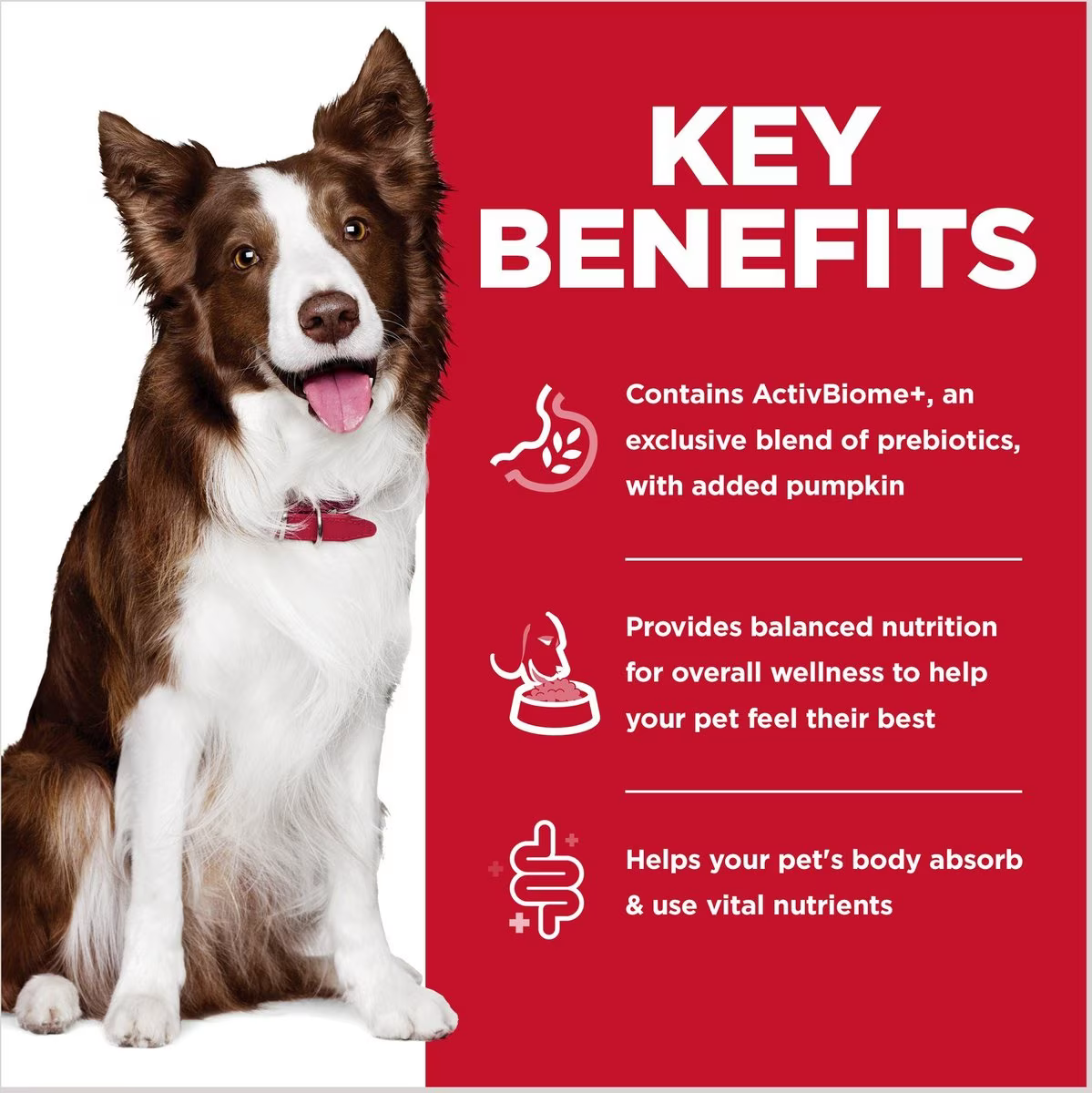 Hill's Science Diet Adult Perfect Digestion Chicken, Vegetable & Rice Stew Canned Dog Food  Canned Dog Food  | PetMax Canada