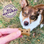 Old Mother Hubbard Classic P-Nuttier 'N Nanners Grain Free Mini Oven-Baked Biscuits Dog Treats  Dog Treats  | PetMax Canada
