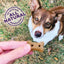 Old Mother Hubbard Classic P-Nuttier 'N Nanners Grain Free Mini Oven-Baked Biscuits Dog Treats - 453g - Dog Treats - Old Mother Hubbard - PetMax Canada
