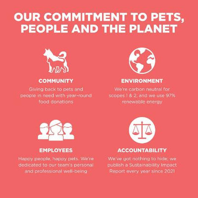 ALLER! CARNIVORE Recette Saumon + Morue Sans Céréales pour chiens 