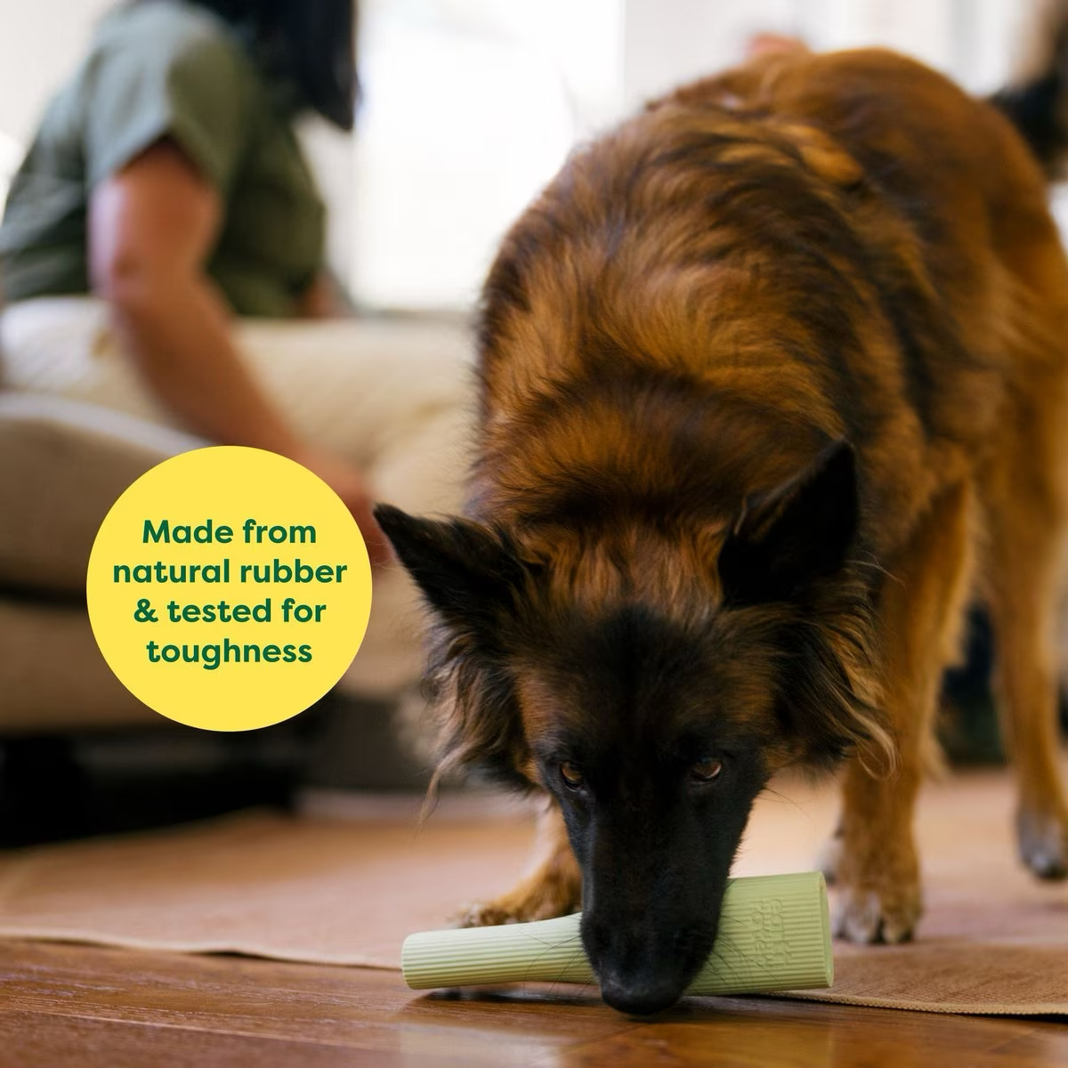Earth Rated Green Rubber Chew Dog Toy  Dog Toys  | PetMax Canada