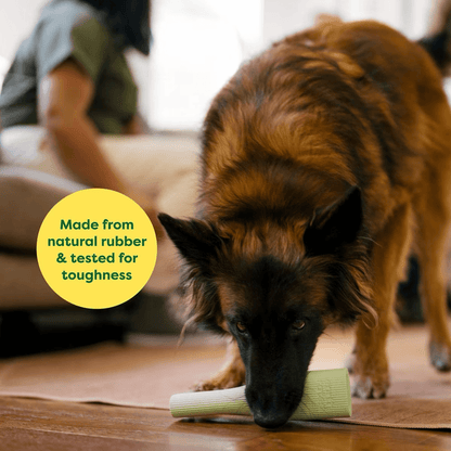Earth Rated Green Rubber Chew Dog Toy - Small - Dog Toys - Earth Rated - PetMax Canada