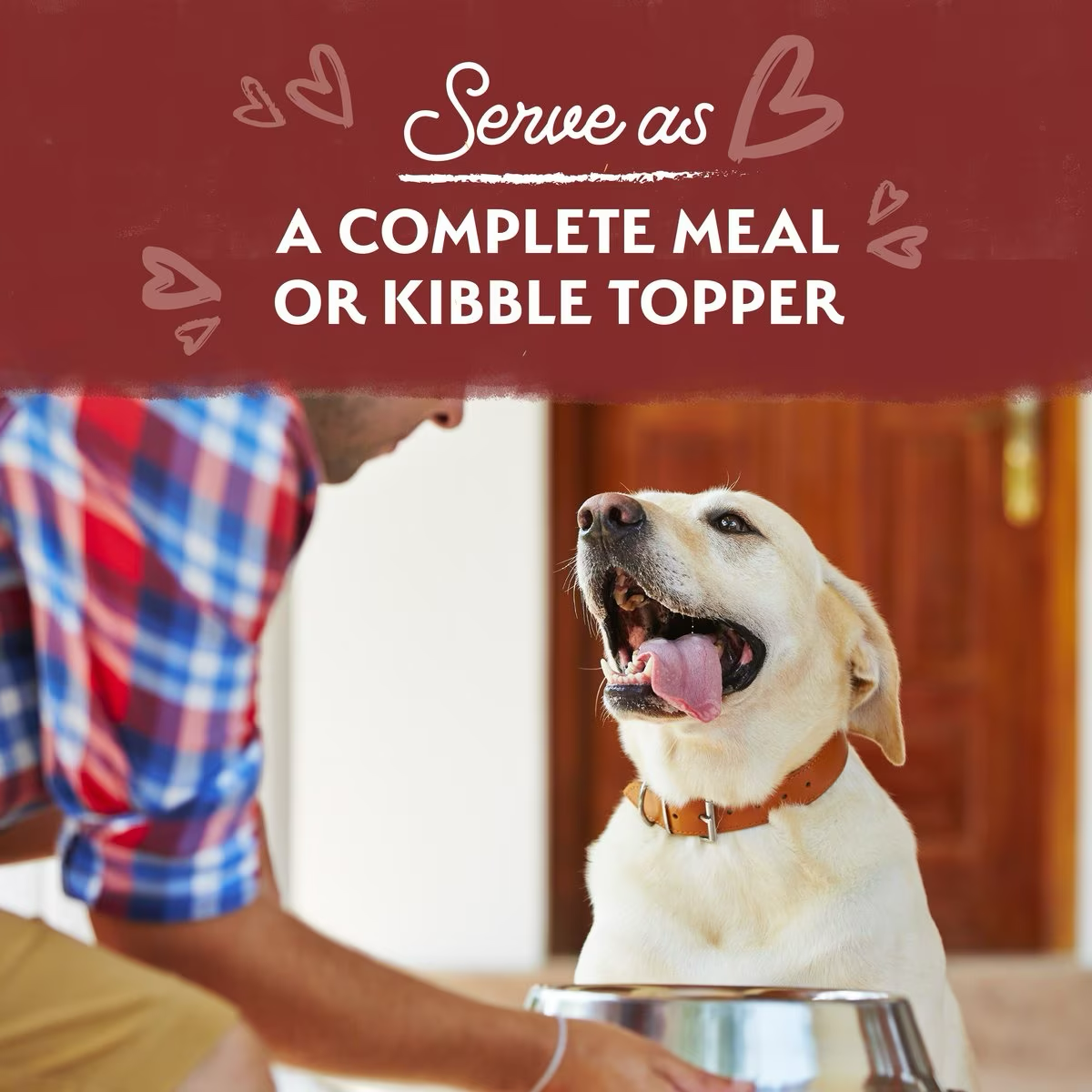 Natural balance beef dog food hot sale