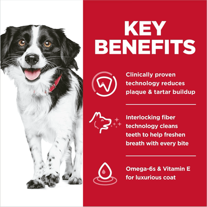 Hill's Science Diet Oral Care Small & Mini Chicken Recipe Adult Dry Dog Food - 1.81 Kg - Dog Food - Hill's Science Diet - PetMax Canada