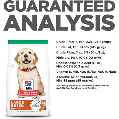 Science Diet Canine Puppy Large Breed Lamb