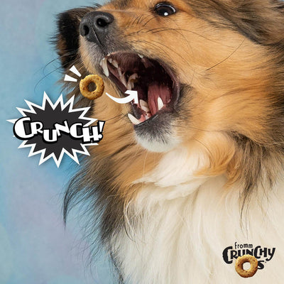 Fromm Crunchy O's Bacon Blasters Dog Treats - 737g - Dog Treats - Fromm - PetMax Canada