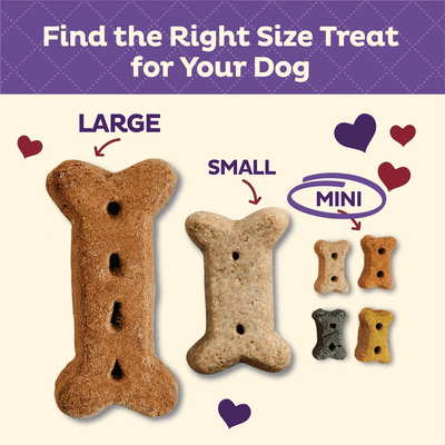 Old Mother Hubbard Classic Liv'R'Crunch Natural Mini Oven-Baked Biscuits Dog Treats - 567g - Dog Treats - Old Mother Hubbard - PetMax Canada