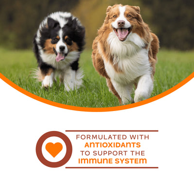 Fromm Nutritionals Immunity Dog Supplement