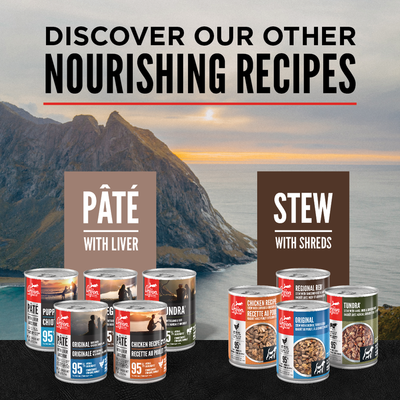 Orijen Pate Wet Dog Regional Red with Liver