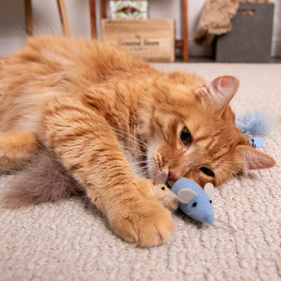 Instincts Cat Silvervine & Catnip Caravan Toss & Bat Mice 3 Pack