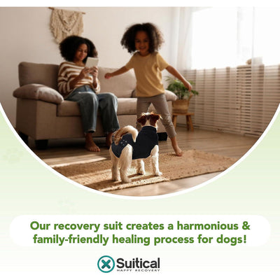 Suitical Dog Recovery Suit Black - Small - Dog Miscellaneous - Suitical - PetMax Canada