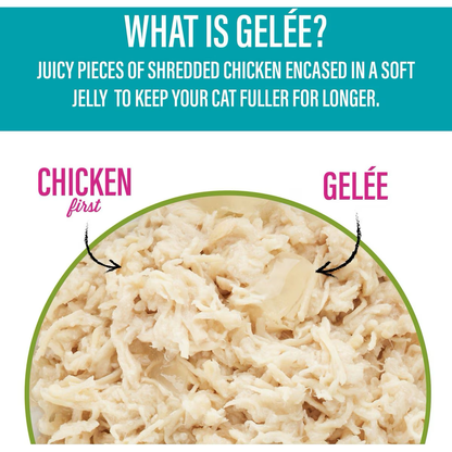 Tiki Cat Pouch Luau Lean Gelee Chicken