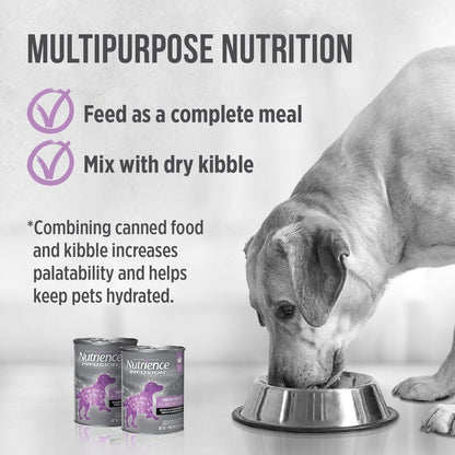 Nutrience Dog Infusion Pate Yorkshire Pork