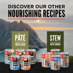 Orijen Pate Wet Dog Tundra with Liver