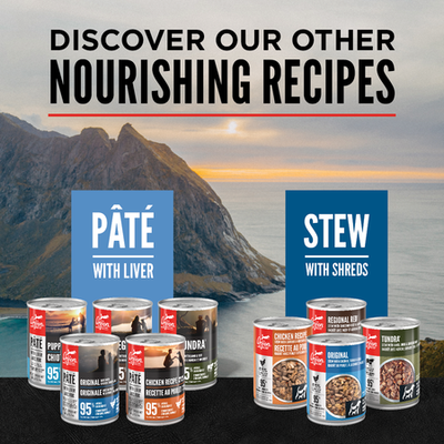 Orijen Pate Wet Dog Original with Liver