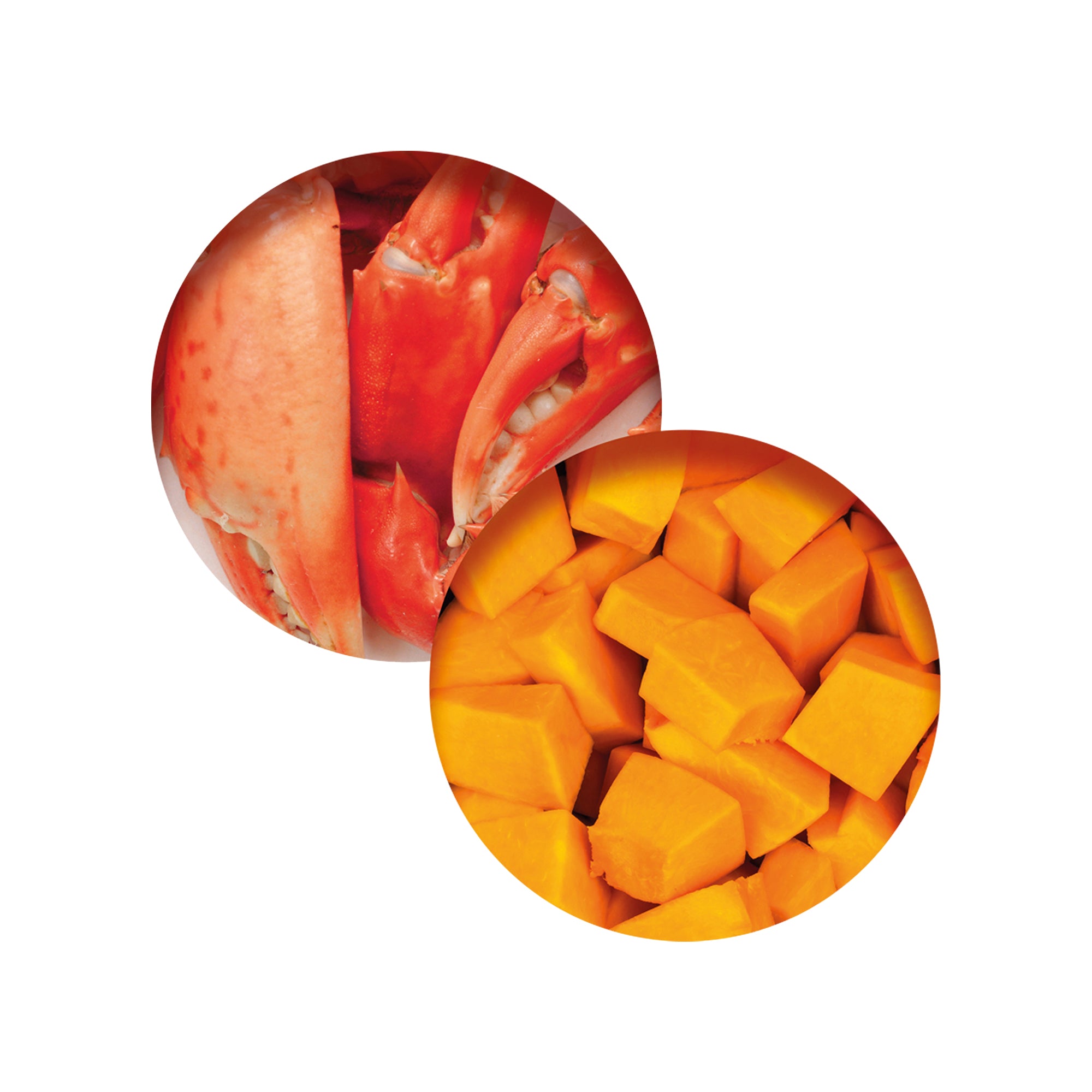 CatIt Nourriture humide pour chats Dîner au poisson avec saveur de crabe et citrouille