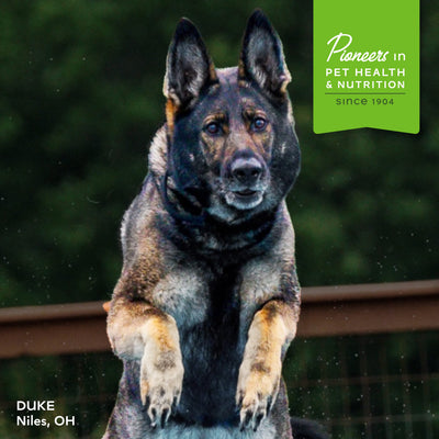 Fromm Nutritionals Mobility Dog Supplement