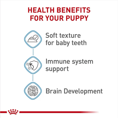 Royal Canin Size Health Nutrition Starter Mother & Babydog Mousse In Sauce Canned Dog Food - 145g - Canned Dog Food - Royal Canin - PetMax Canada