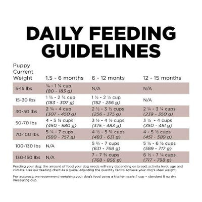 Go! Skin + Coat Care Large Breed Puppy Salmon Recipe With Grains for dogs