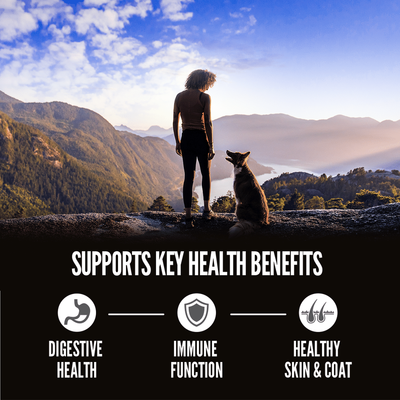 Orijen Amazing Grains Original Dry Dog Food Recipe