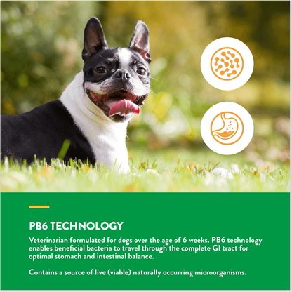 Naturvet Dog Advanced Probiotics & Enzymes - Default Title - Health Care - Naturvet - PetMax Canada