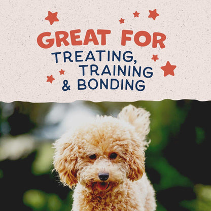 Natural Balance Rewards Minis with Real Salmon Dog Treats - 150g - Dog Treats - Natural Balance - PetMax Canada