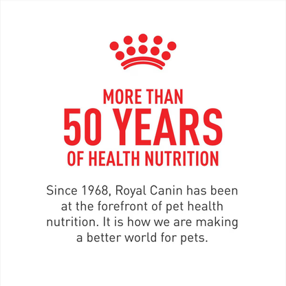 Royal Canin Breed Health Nutrition Golden Retriever Adult Loaf in Sauce Canned Dog Food