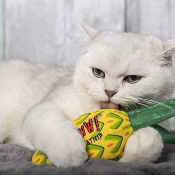 Yeowww Pineapple Catnip Toy