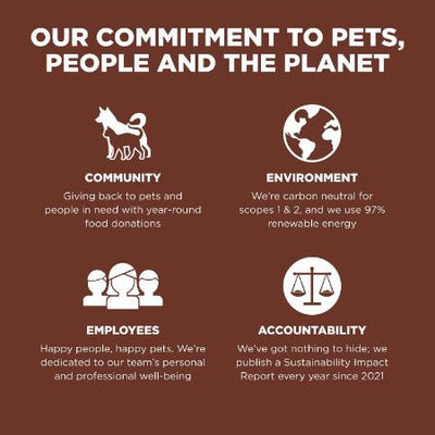 Go! Skin + Coat Care Large Breed Puppy Salmon Recipe With Grains for dogs