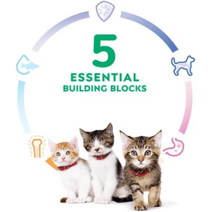Hill's Science Diet Kitten Dry Ocean Fish & Brown Rice Recipe Dry Cat Food - 1.59 Kg - Cat Food - Hill's Science Diet - PetMax Canada
