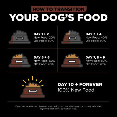 Go! Skin + Coat Care Large Breed Puppy Salmon Recipe With Grains for dogs