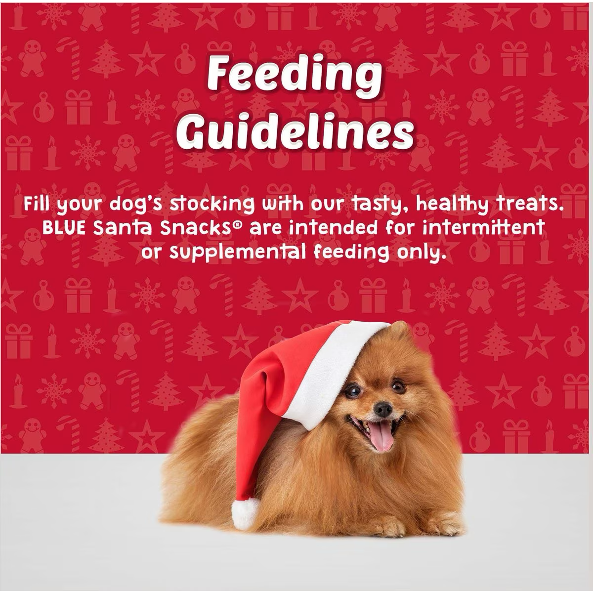 Blue 2024 santa snacks