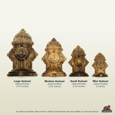 Red Barn mâche une bouche d'incendie pour taureaux