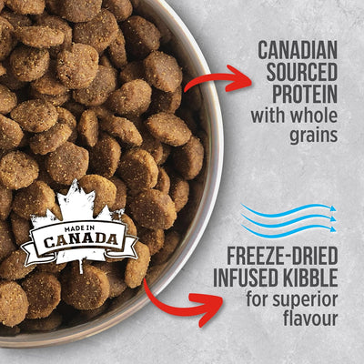 Nutrience Infusion Healthy Adult Beef Dry Dog Food