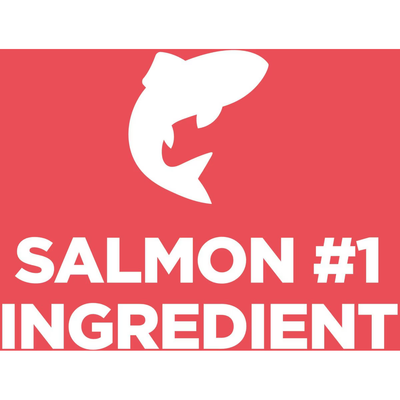 Hill's Science Diet Canine Canned Adult Salmon & Barley