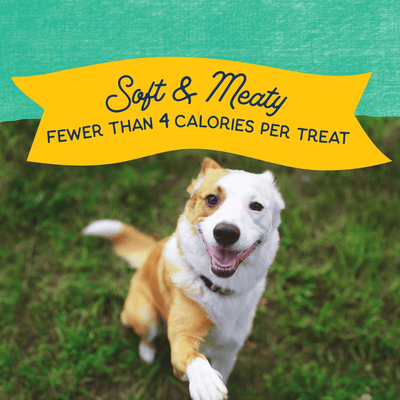 Natural Balance Rewards Minis with Real Chicken Dog Treats - 150g - Dog Treats - Natural Balance - PetMax Canada
