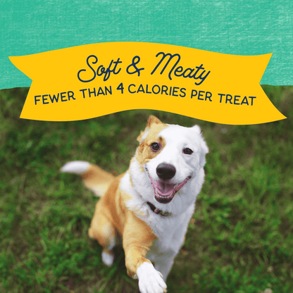 Natural Balance Rewards Minis with Real Chicken Dog Treats - 150g - Dog Treats - Natural Balance - PetMax Canada