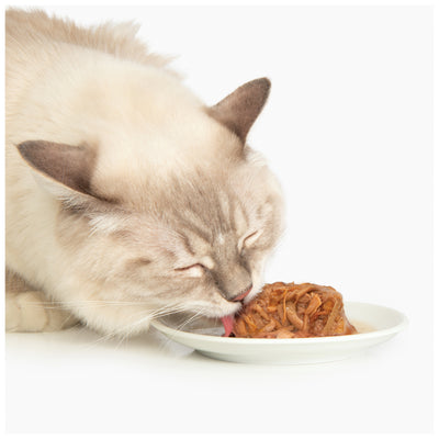 Nourriture humide pour chats CatIt Dîner au poulet avec canard et pommes de terre
