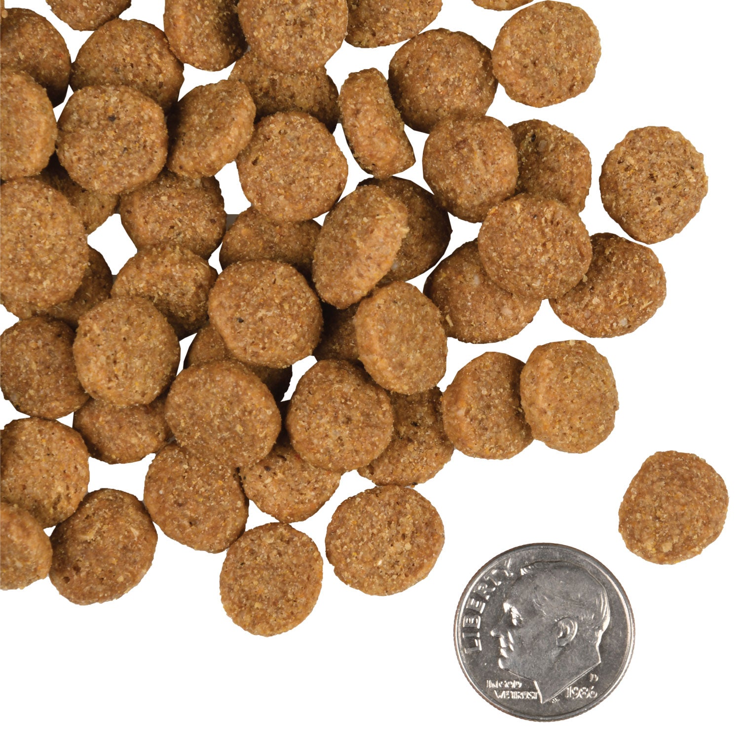 Buy Fromm Gold Adult Dog Food Online In Canada – PetMax