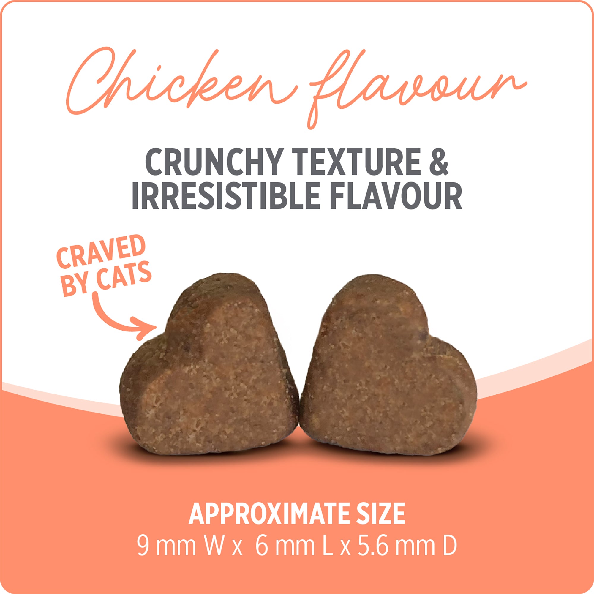Nutrience Care Probiotic Supplement for Cats